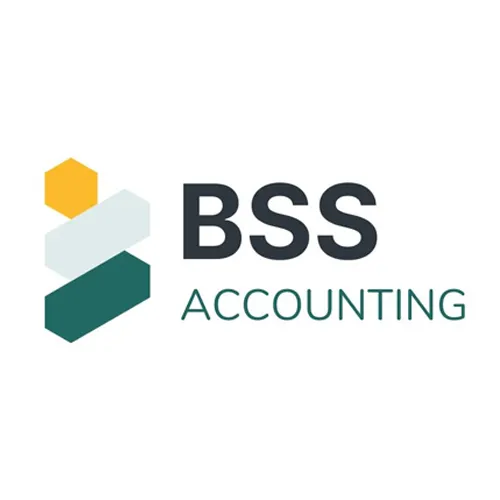 BSS Accounting and Tax Consulting